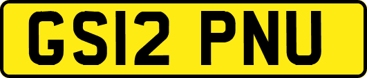 GS12PNU
