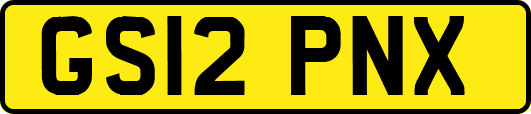 GS12PNX