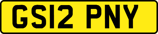 GS12PNY