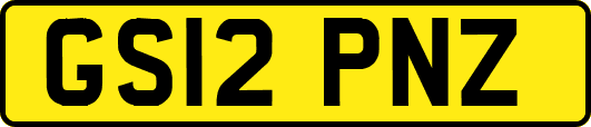 GS12PNZ
