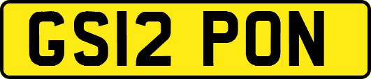 GS12PON