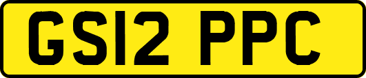 GS12PPC
