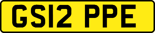 GS12PPE