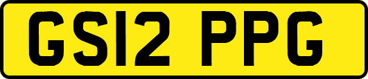 GS12PPG