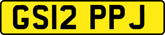 GS12PPJ
