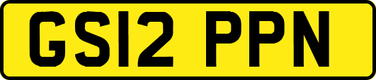 GS12PPN