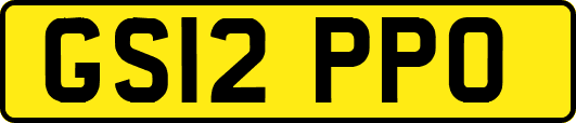GS12PPO