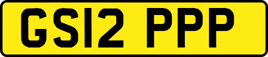 GS12PPP