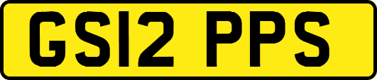 GS12PPS