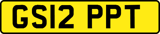 GS12PPT