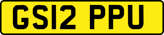 GS12PPU