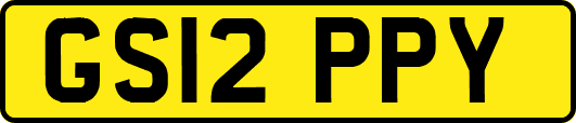 GS12PPY