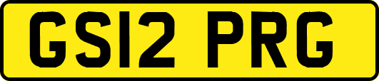 GS12PRG