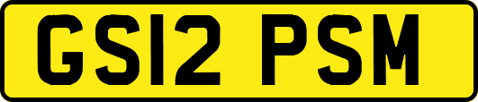 GS12PSM