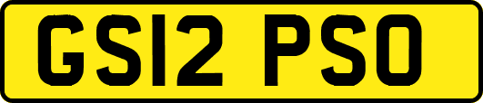 GS12PSO