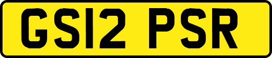 GS12PSR