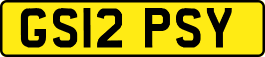 GS12PSY