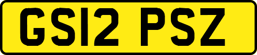 GS12PSZ