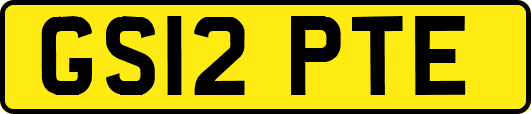 GS12PTE