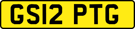 GS12PTG