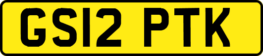 GS12PTK