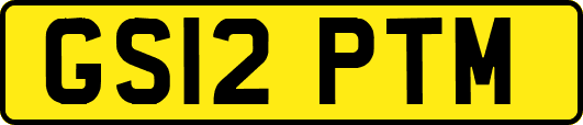 GS12PTM