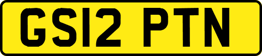 GS12PTN