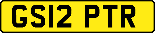 GS12PTR