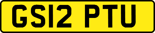 GS12PTU