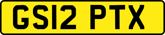 GS12PTX