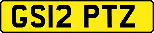 GS12PTZ