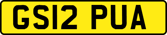 GS12PUA