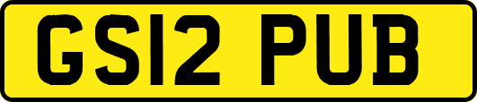 GS12PUB