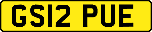 GS12PUE