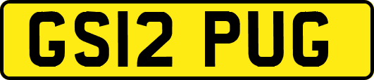 GS12PUG