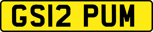 GS12PUM