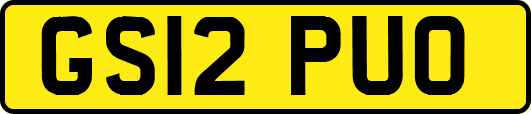 GS12PUO