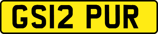 GS12PUR