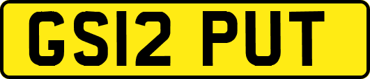 GS12PUT