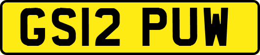GS12PUW