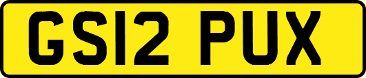 GS12PUX