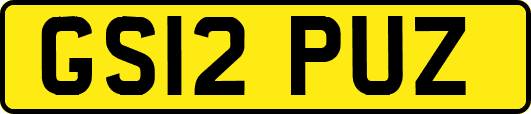 GS12PUZ