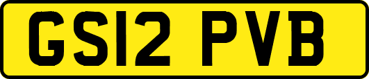 GS12PVB