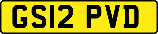 GS12PVD