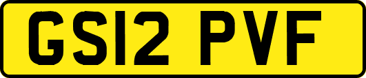 GS12PVF