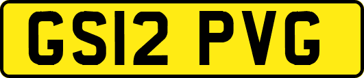 GS12PVG