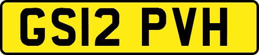 GS12PVH
