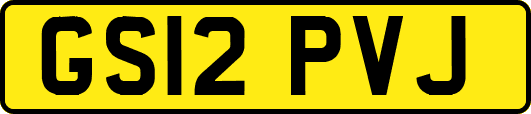 GS12PVJ