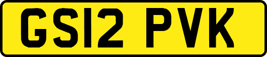GS12PVK
