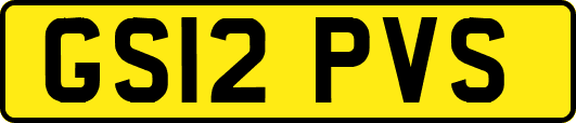 GS12PVS